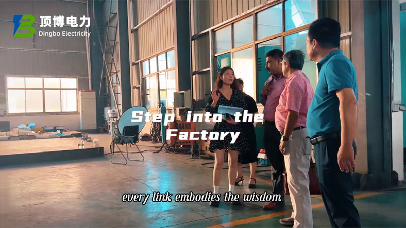 African Customers Visit Dingbo Factory