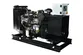Diesel Generator Set with Perkins Engine, DB-48GF